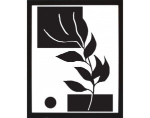 Rámovaný obraz Čiernobiela rastlinná abstrakcia IV