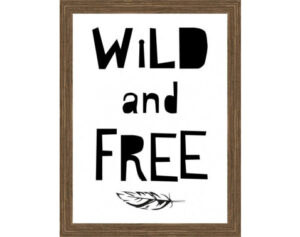 Rámovaný obraz Wild and free